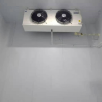 冷風(fēng)機(jī) DD22
