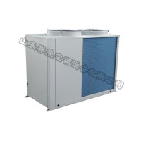 空氣源熱泵機(jī)組 風(fēng)冷模塊機(jī)組 空氣源熱泵機(jī)組廠家直銷 空氣處理機(jī)組