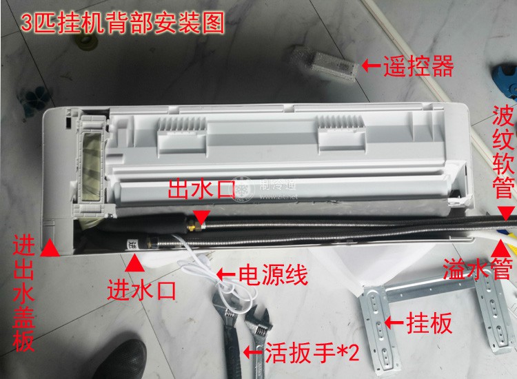 3匹掛背部