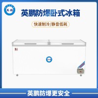 營口500/680/800L雙門臥式防爆冰箱 BL-200WS500L
