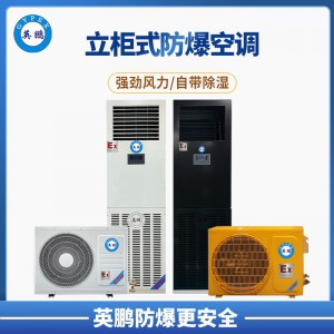 岳陽食品廠2P立柜式防爆空調(diào) BFKT-5.0
